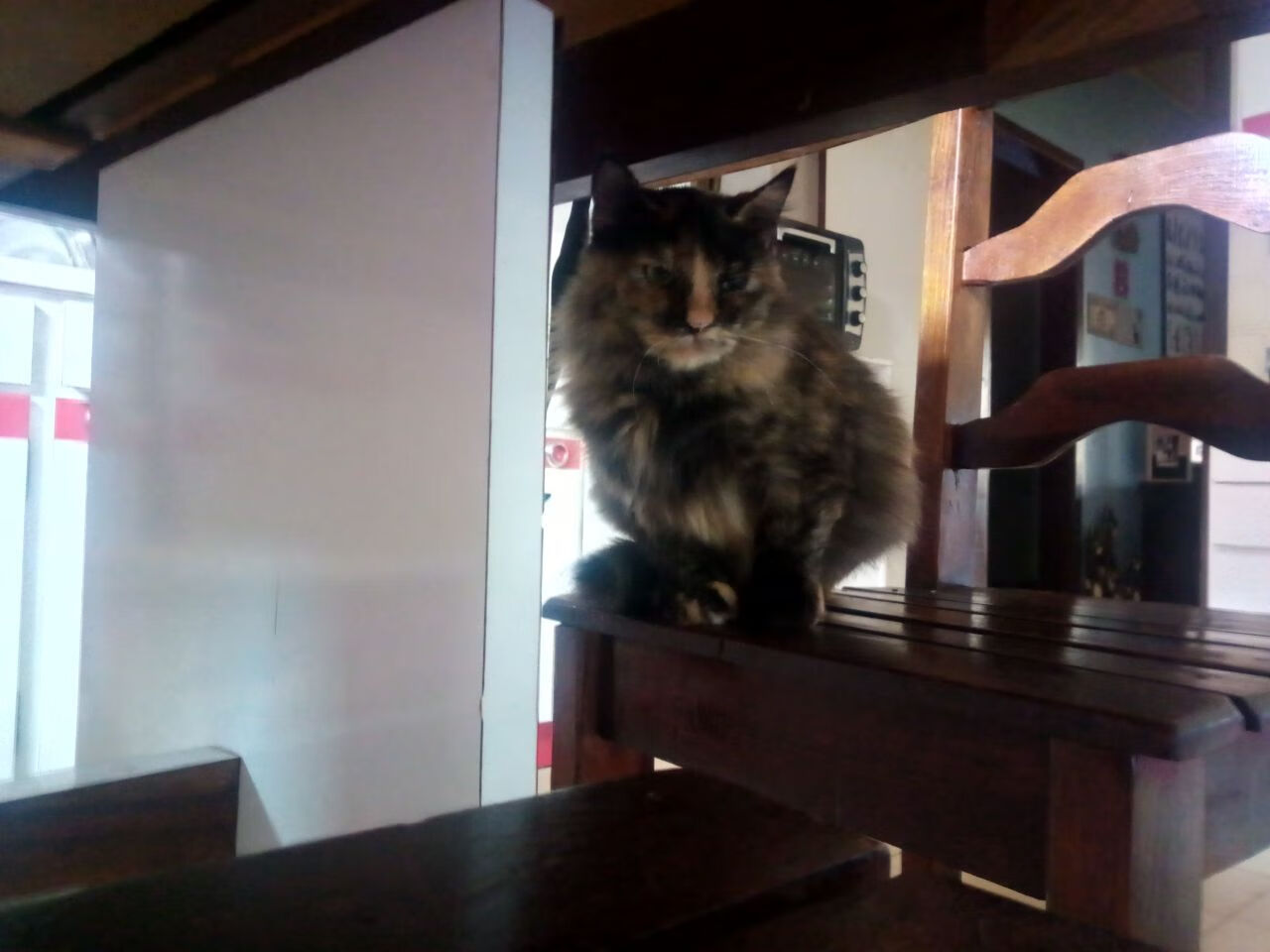 全国青少年篮球公益讲座在广州盛大举行，传递运动精神，2021年全国青少年篮球竞赛计划