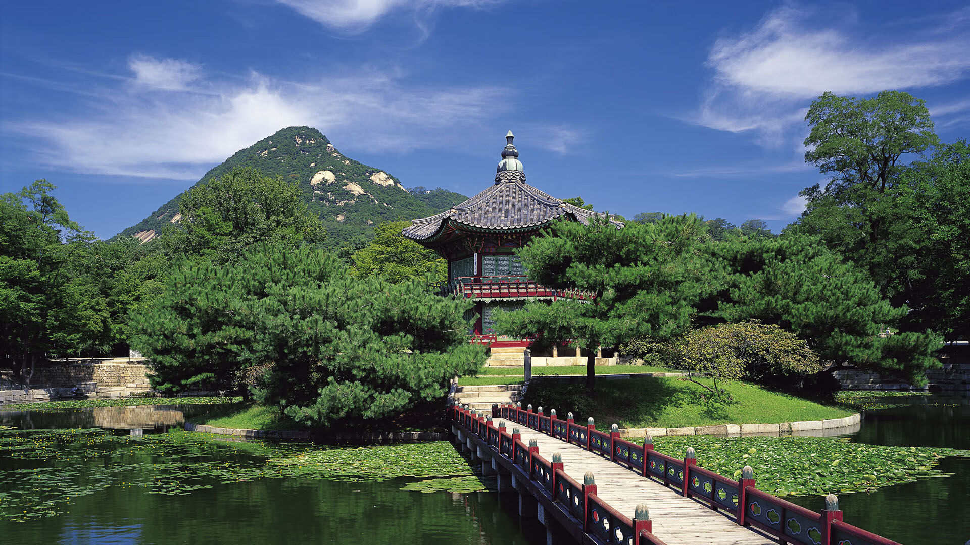 _运动员签约新品牌,合作创新引争议_,运动员签约俱乐部