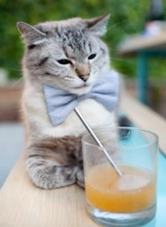 _运动员街头即兴表演:青春力量焕发_,运动员街拍