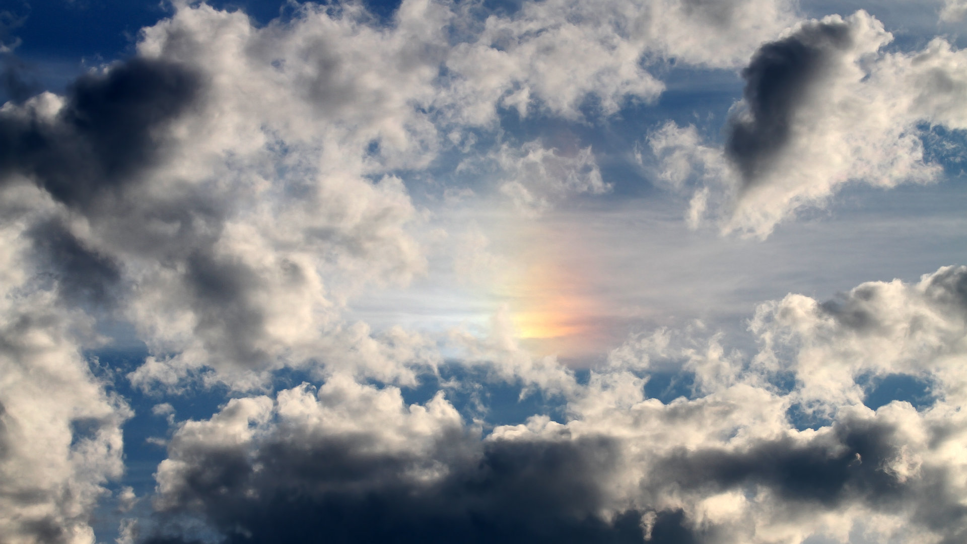 JiuyouAPP下载-“球迷故事：从支持到狂热，感人瞬间”，球迷分享