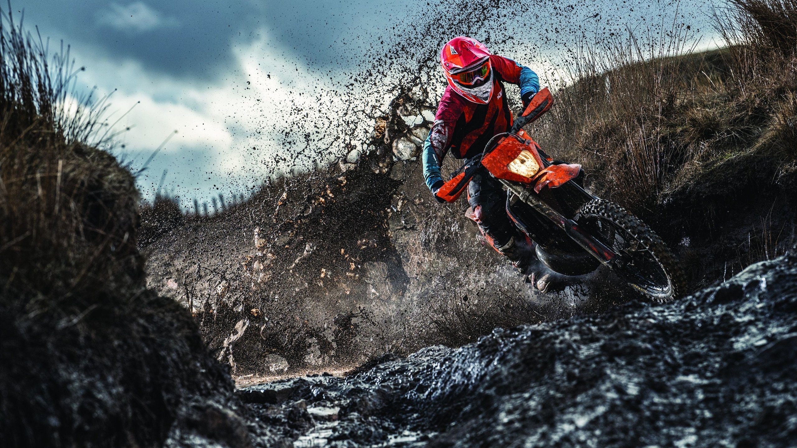 九游网游官网-皮特·库策用沉着冷静赢得冠军，皮特库柏和埃尔默